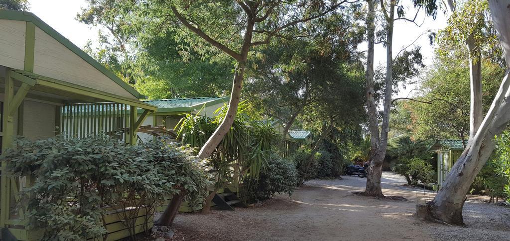 Camping La Cle Des Champs Calvi  Eksteriør billede