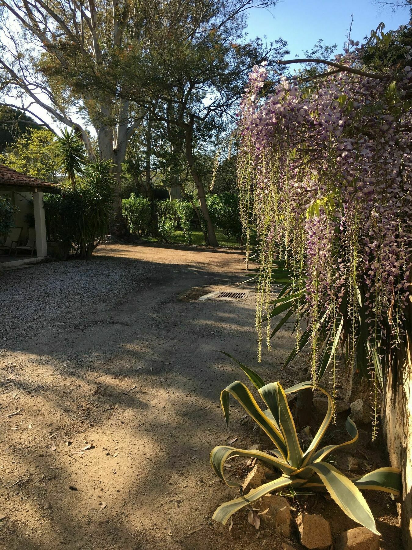 Camping La Cle Des Champs Calvi  Eksteriør billede